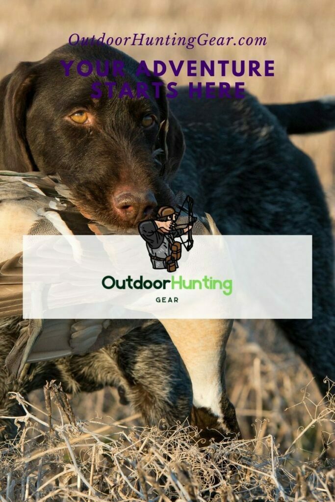 Best Mississippi Duck Hunting Guides - Top Duck Hunting Guides in Mississippi! How to Choose the Right Duck Hunting Guide for You! Tips for Making the Most of Your Mississippi Duck Hunting Trip! Mississippi Duck Hunting: The Ultimate Adventure!