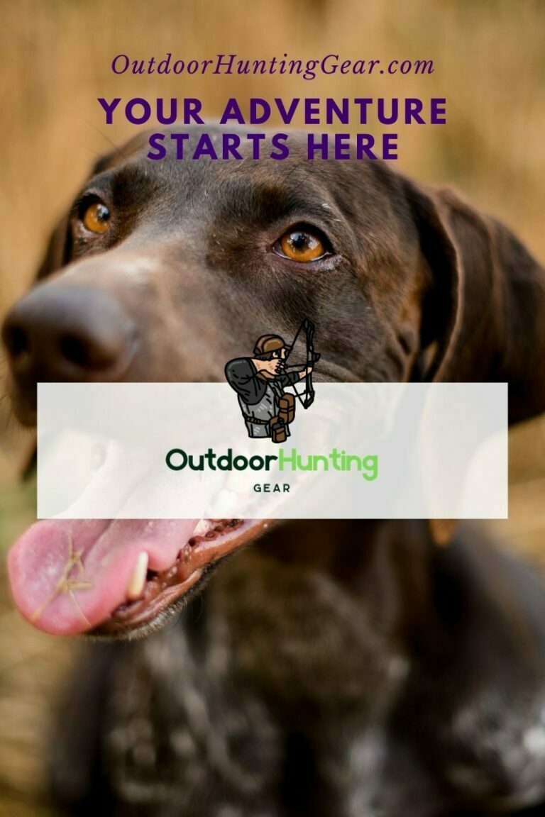 Best Rabbit Hunting Gear Gearing Up for HareRaising Adventures