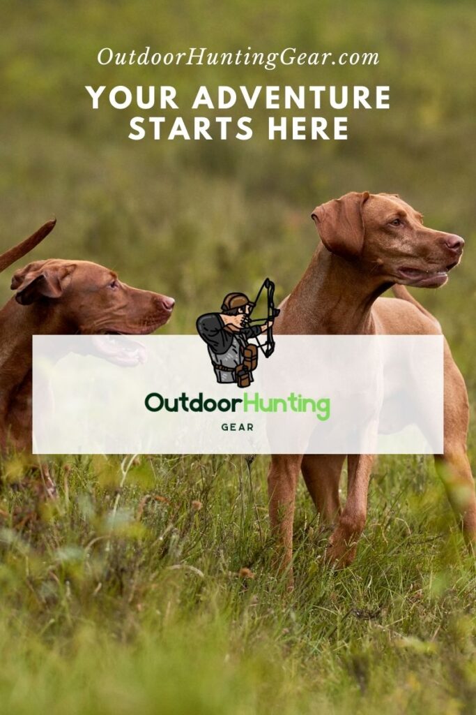 10 Best Hunting Podcasts to Elevate Your Outdoor Adventures
