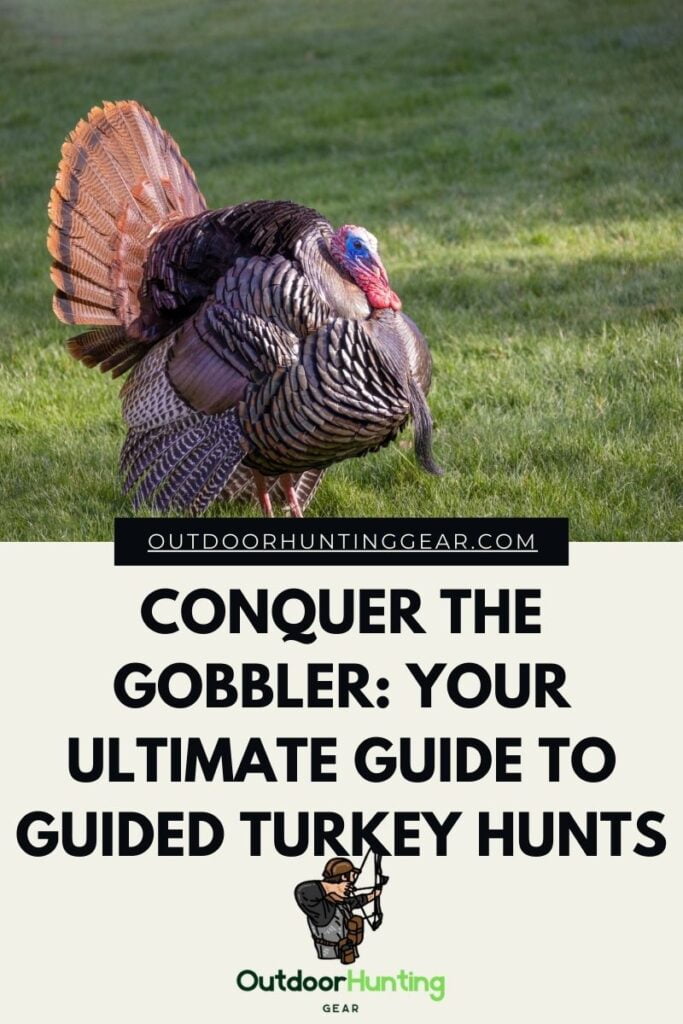 Conquer the Gobbler: Your Ultimate Guide to Guided Turkey Hunts
