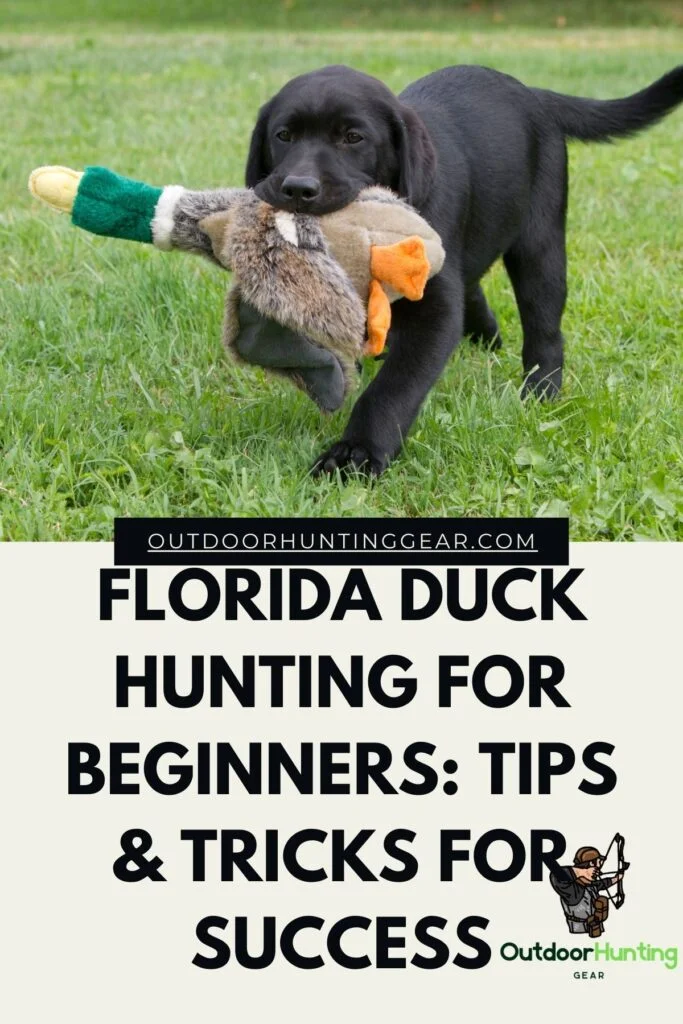Florida Duck Hunting for Beginners: Tips & Tricks for Success!
