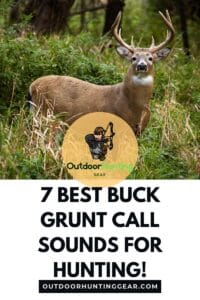 Top 5 Best Buck Grunt Call Sounds to Attract Big Deer - Outdoor Hunting