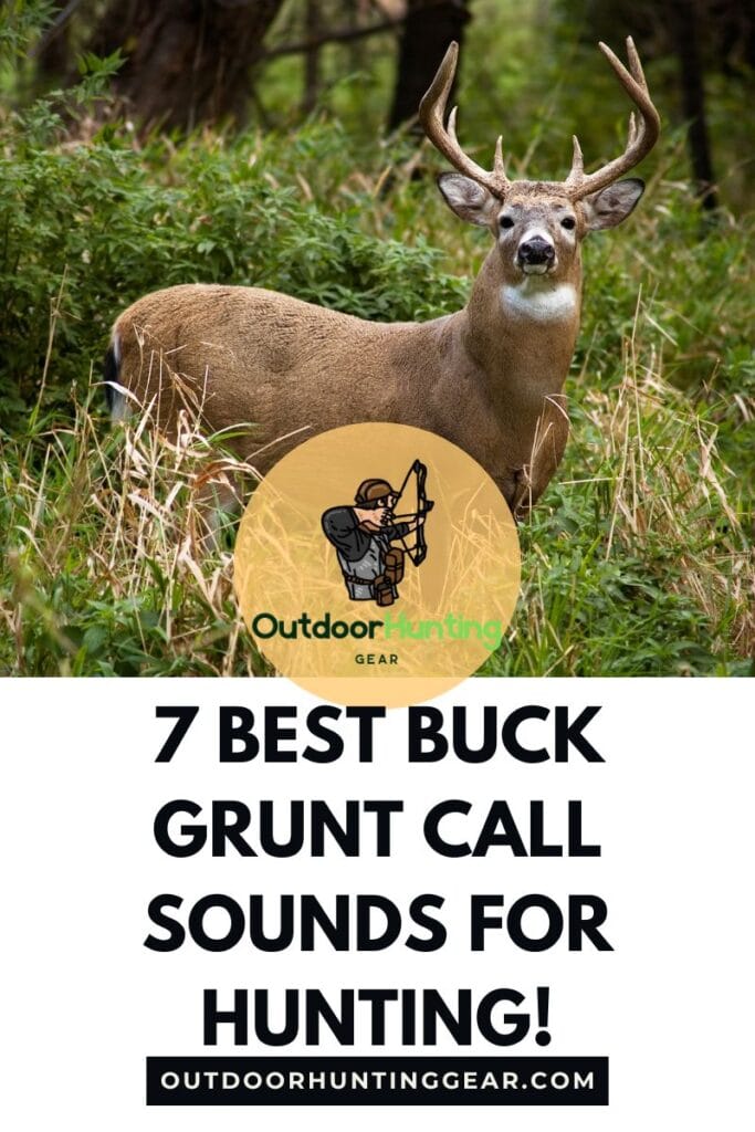 Hunter using a buck grunt call sound while hunting in the woods.