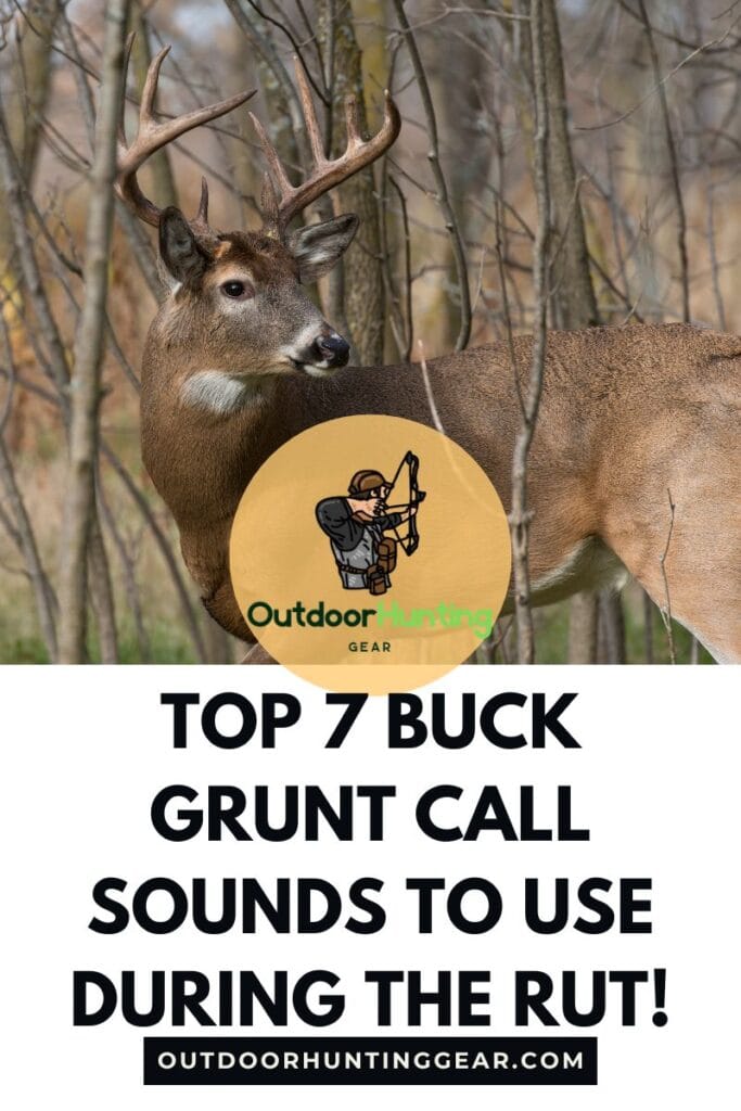 A buck grunt call sound in action, aimed at attracting a deer during the rut.