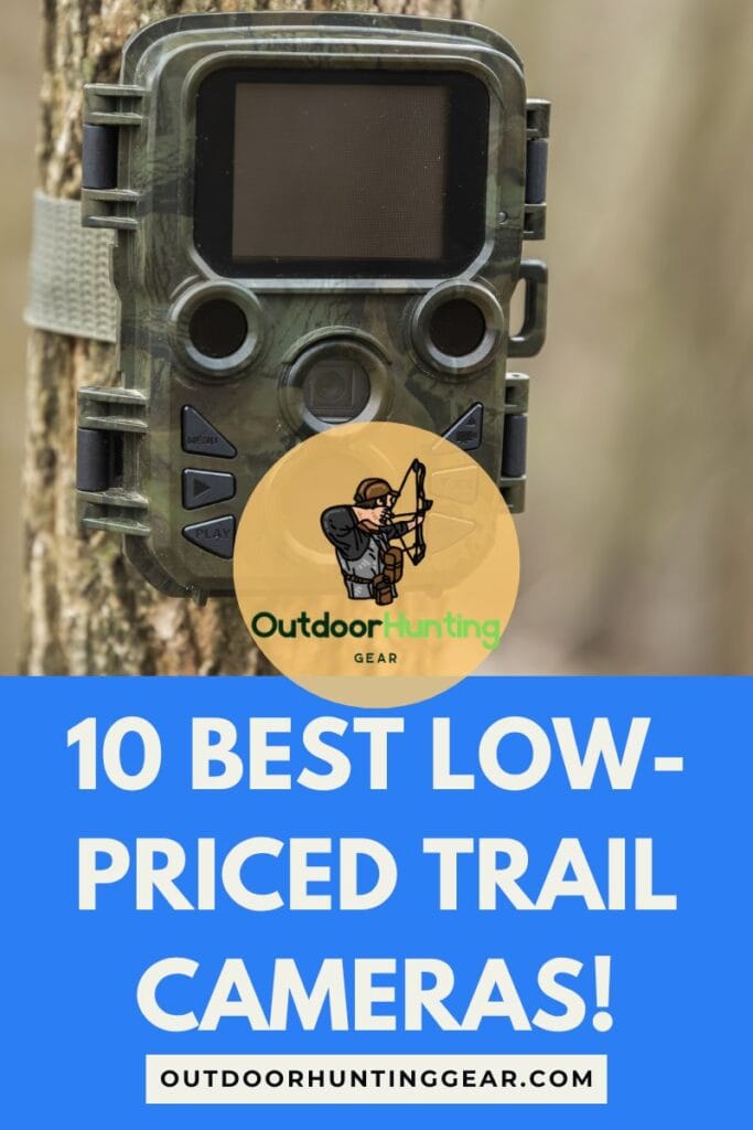 High-quality low-priced trail camera in a natural setting.