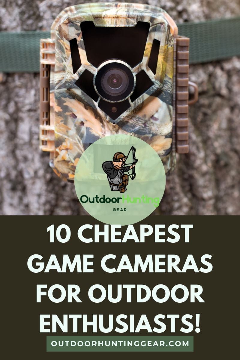 Budget-friendly game camera set up for wildlife tracking.