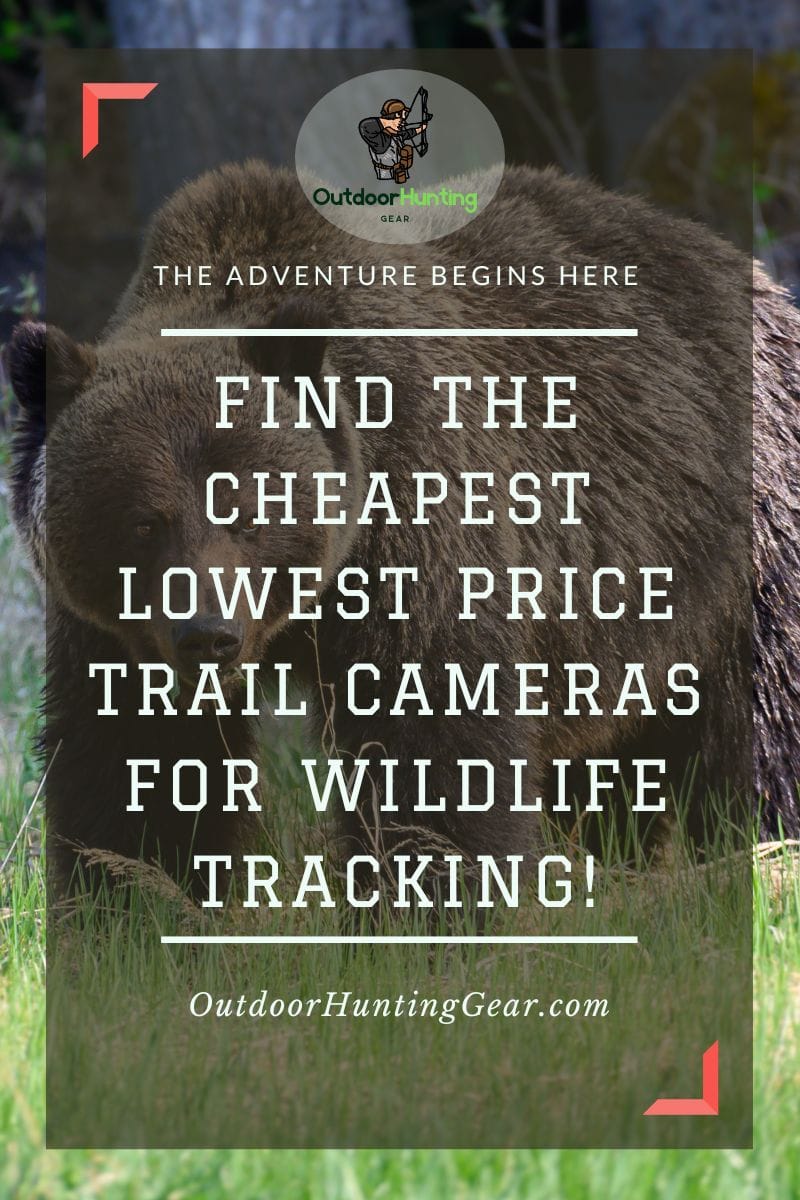 Low-cost lowest price trail cameras for wildlife monitoring.