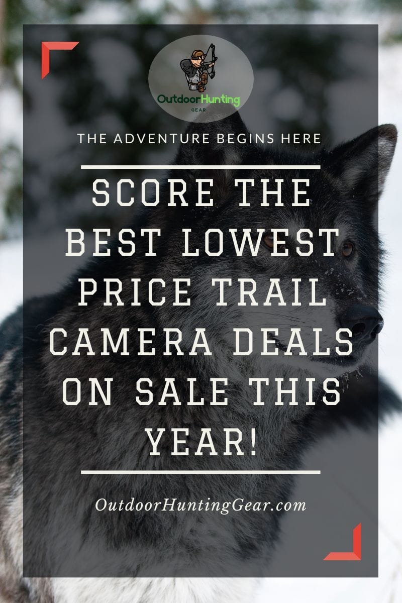 Lowest price trail cameras on sale with significant discounts.