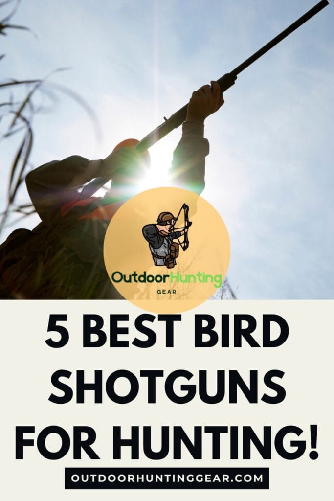 Best Bird Shotguns for Hunters