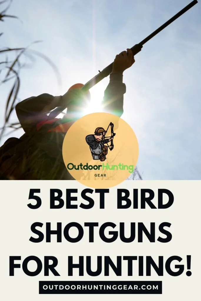 Best Bird Shotguns for Hunters