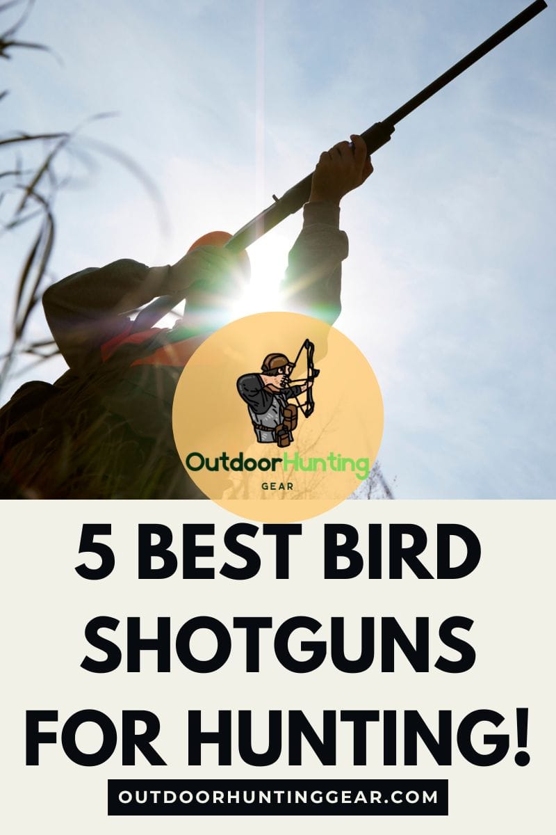 Best Bird Shotguns for Hunters