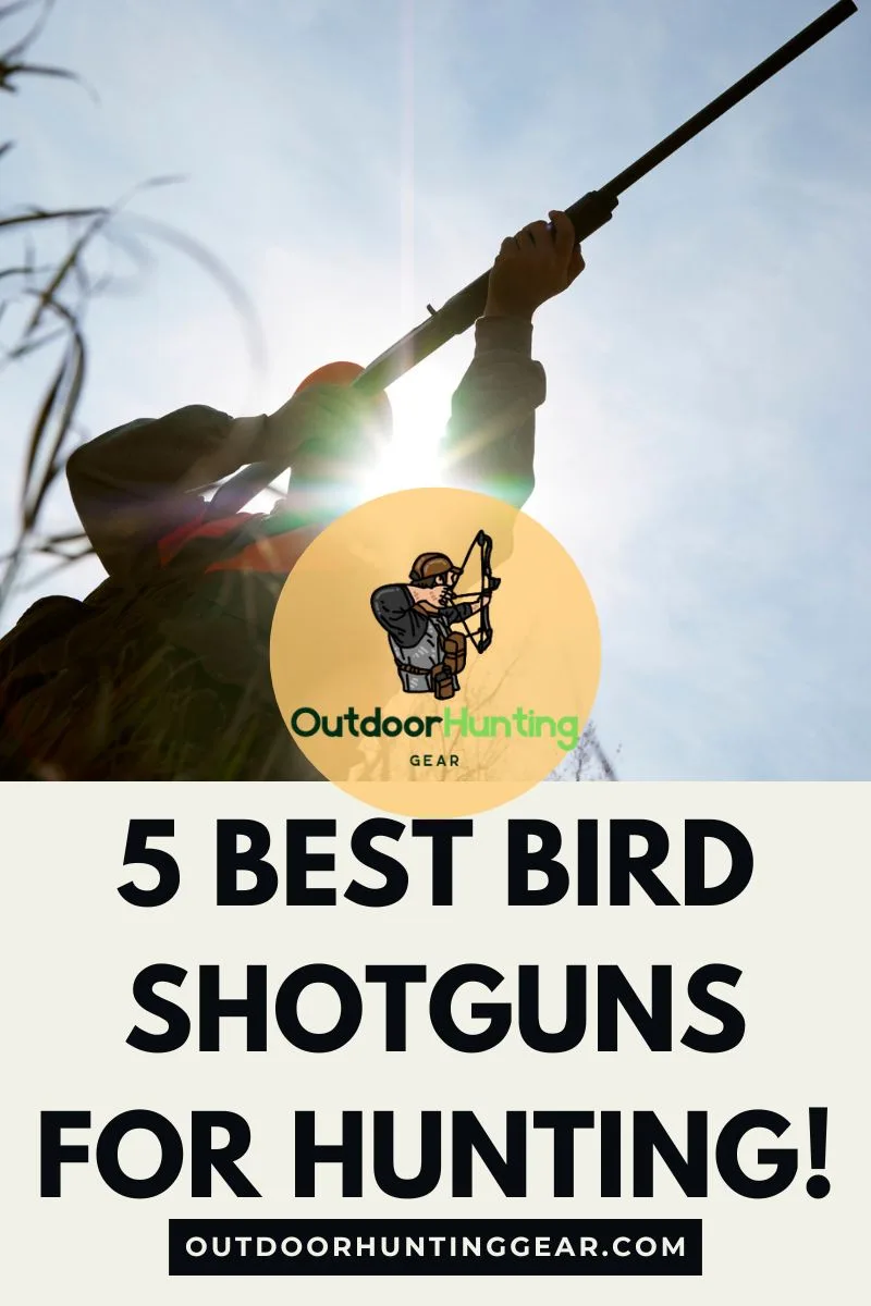 Best Bird Shotguns for Hunters