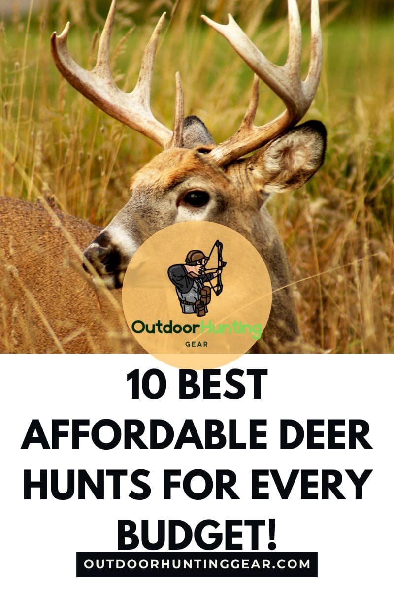 10 Best Affordable Deer Hunts for Every Budget This Hunting Season