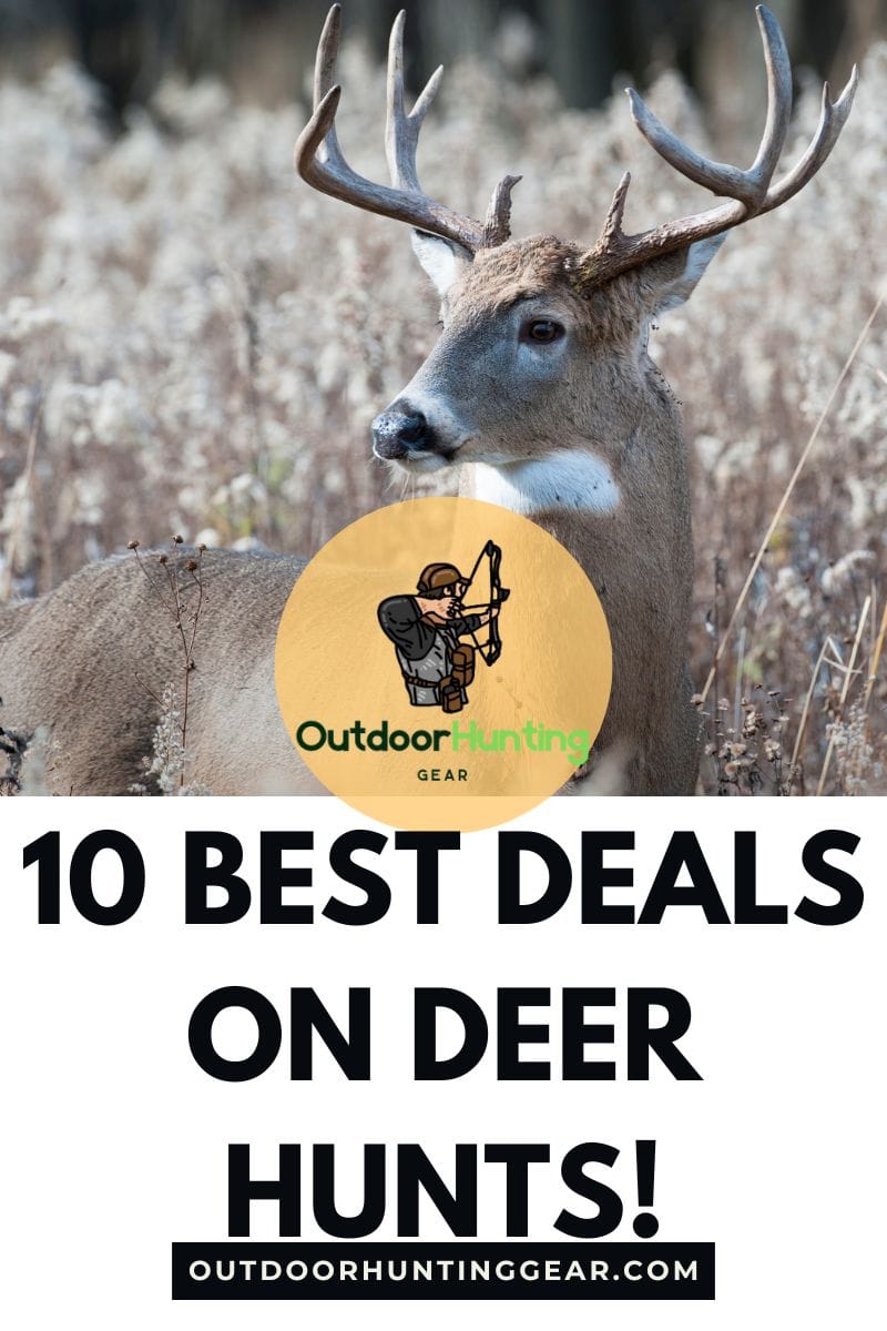 Affordable deer hunts for whitetail lovers seeking great deals.