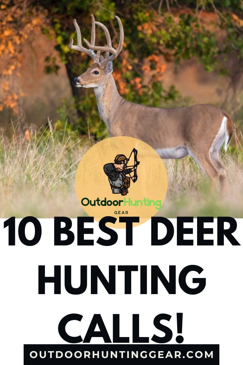 Top 10 Best Deer Calls for Hunting Whitetail Bucks in Any Hunting Season