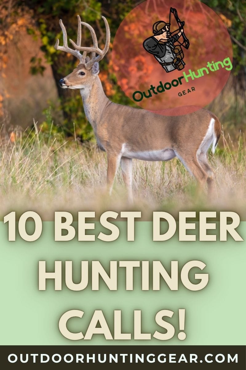 Best deer calls for hunting whitetail deer all season