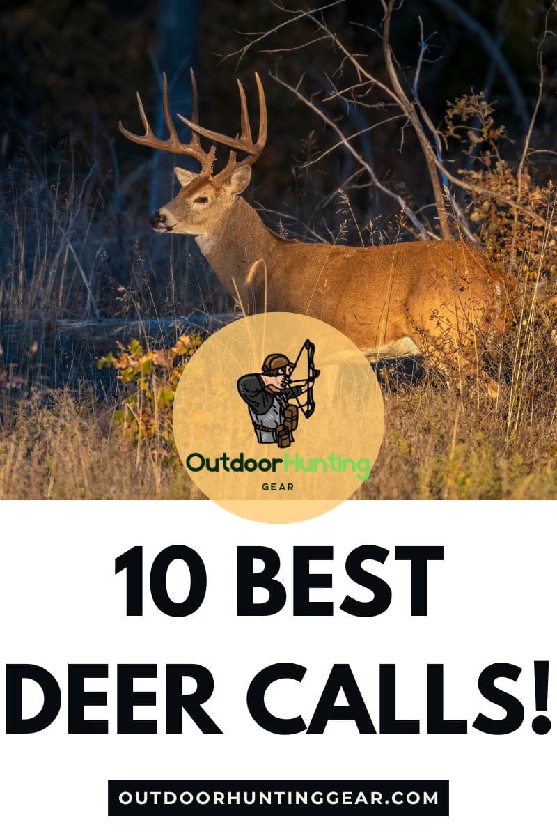 Best deer calls to attract bucks and does