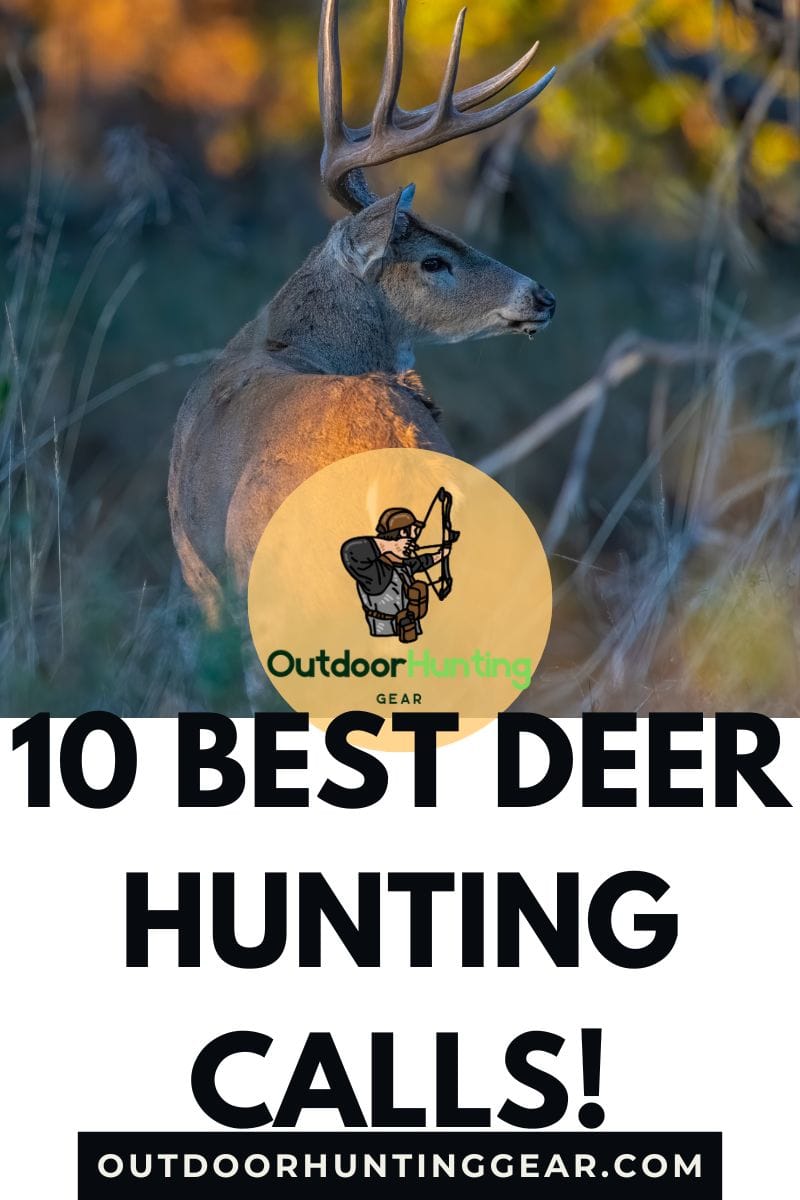 Top 10 Whitetail Deer Calls