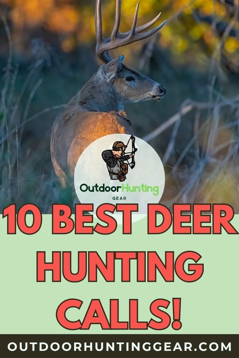 best whitetail deer calls for a successful hunt