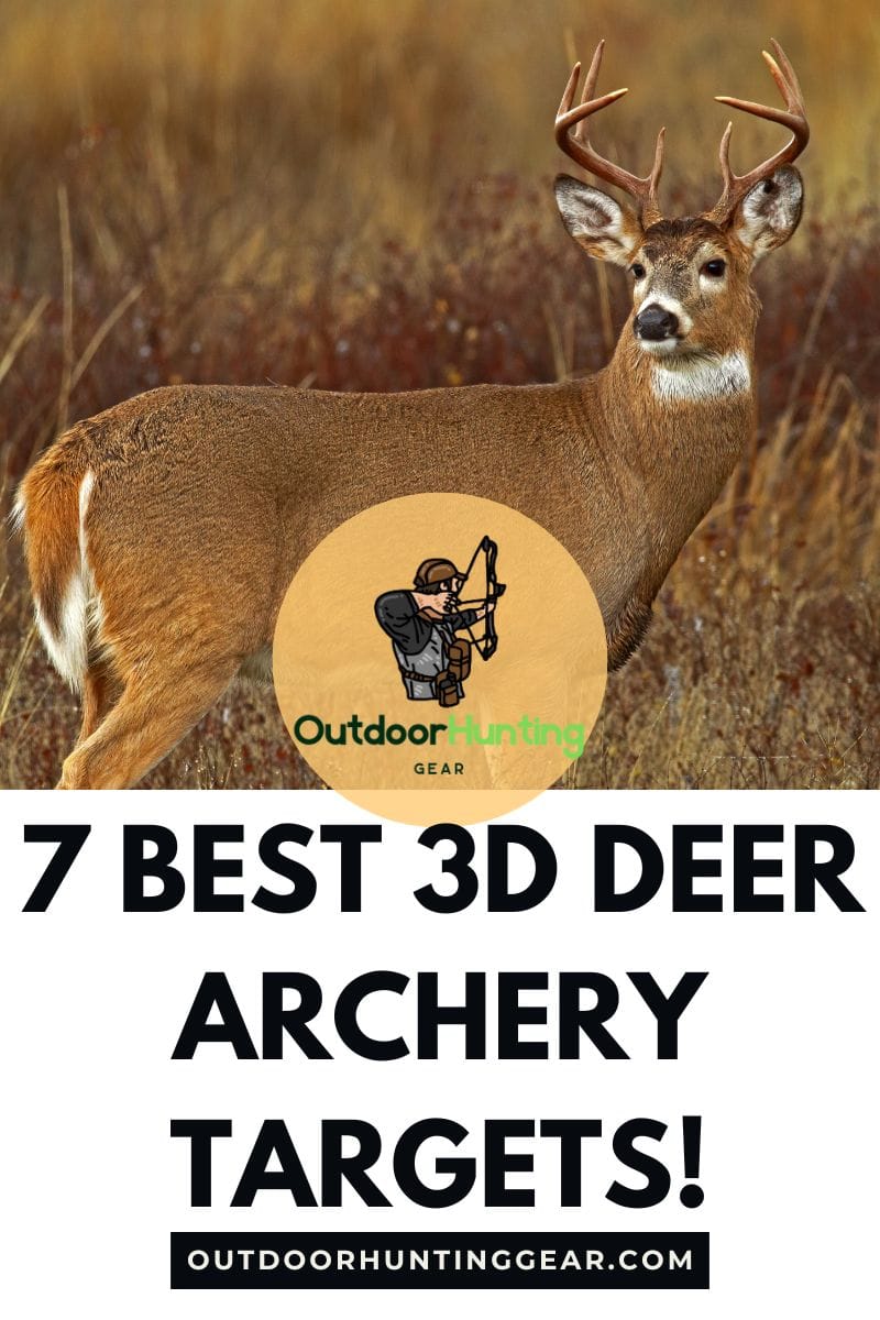 Best 3D deer archery targets for improved shot placement.