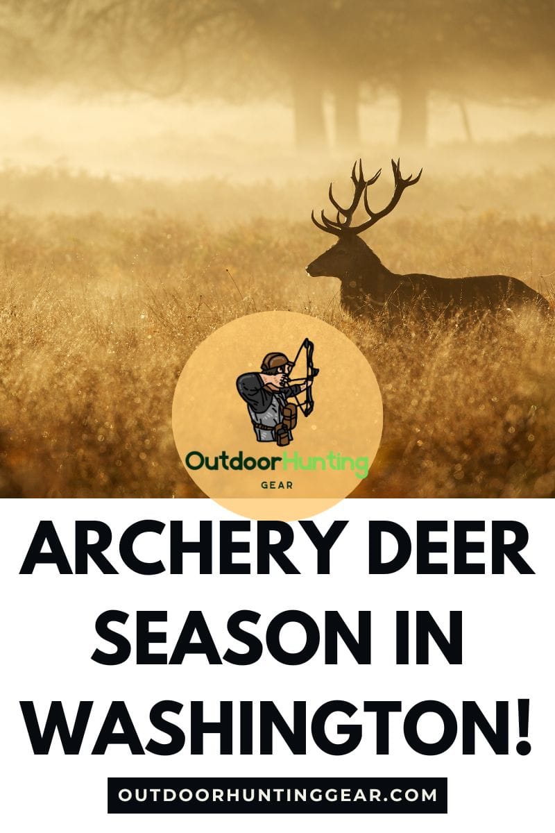 Archery Deer Season in Washington - Most Common Whitetail Deer Bow Hunting Mistakes To Avoid
