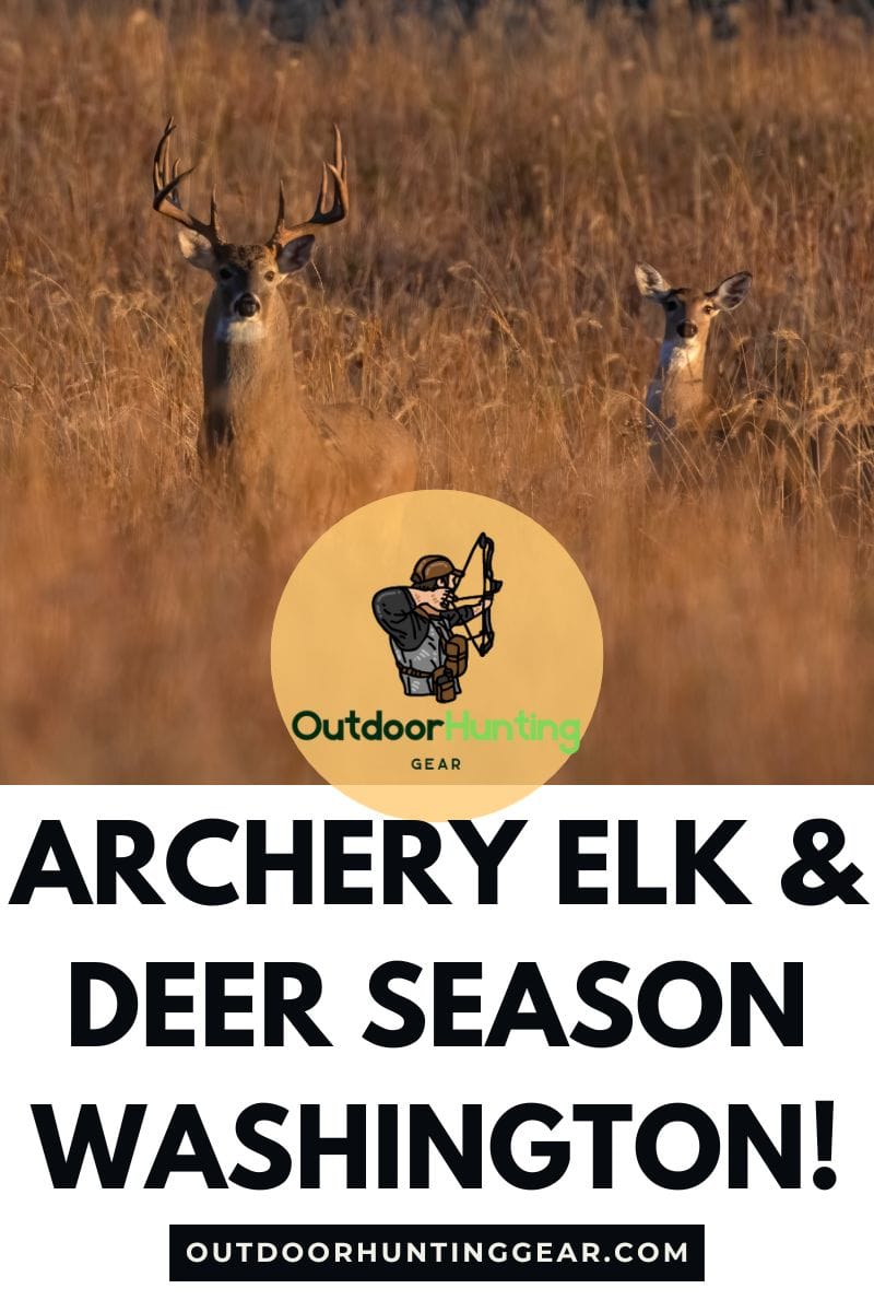 Archery Elk & Deer Season Washington: A Complete Bow Hunters Guide