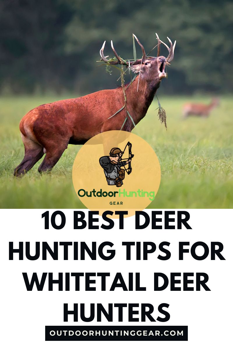 10 Best Deer Hunting Tips: A Beginner’s Guide for Whitetail Deer Hunters!