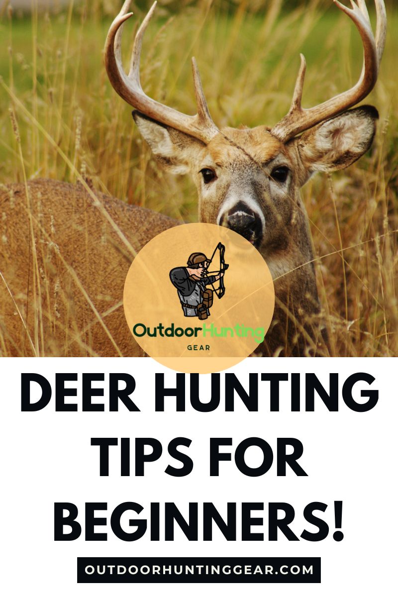 Beginner deer hunter preparing for the hunting season and getting deer hunting tips.
