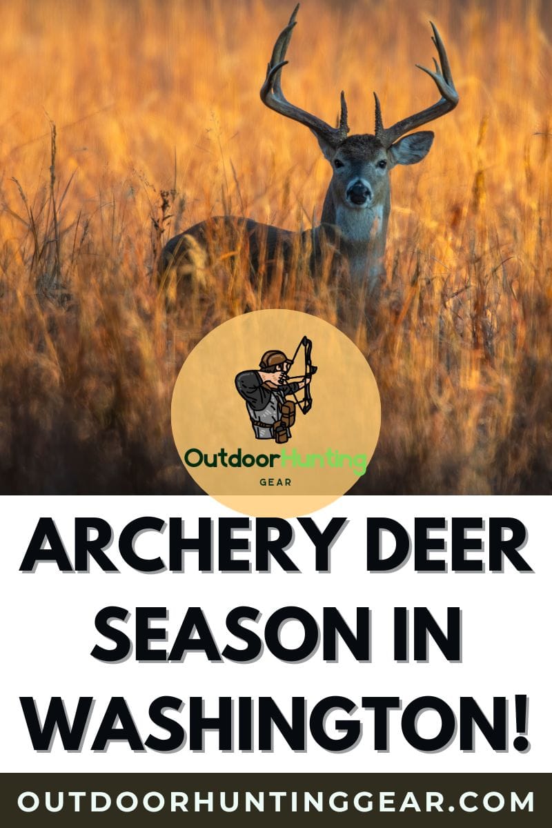 Successful archery deer hunt in Washington state.