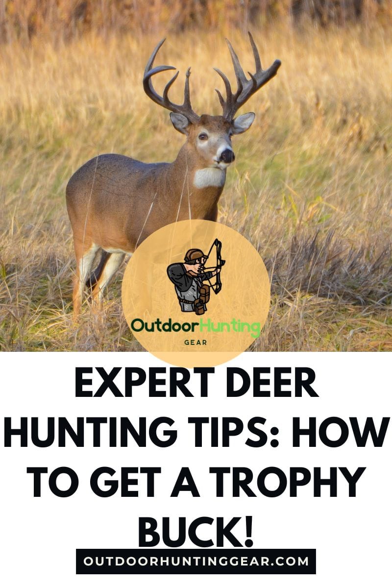 Expert deer hunting tips and hunter advice for a successful hunt this deer season.