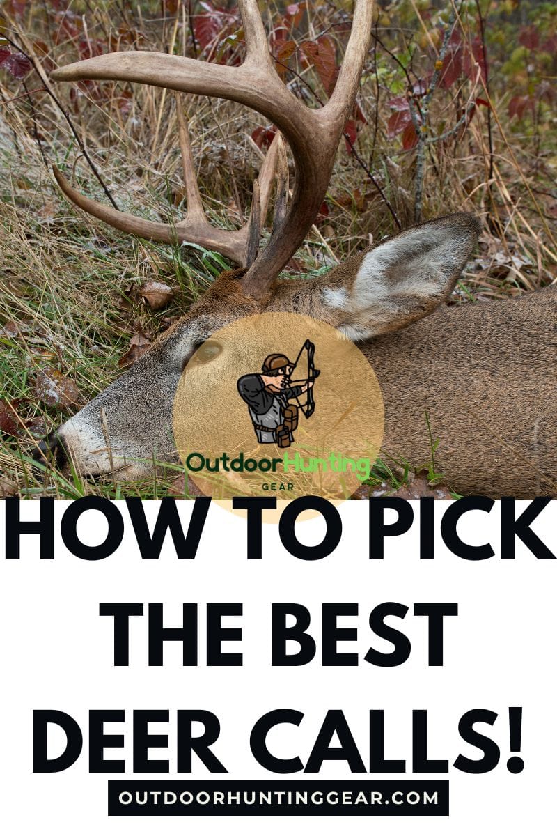 Choosing the best deer calls for hunting season