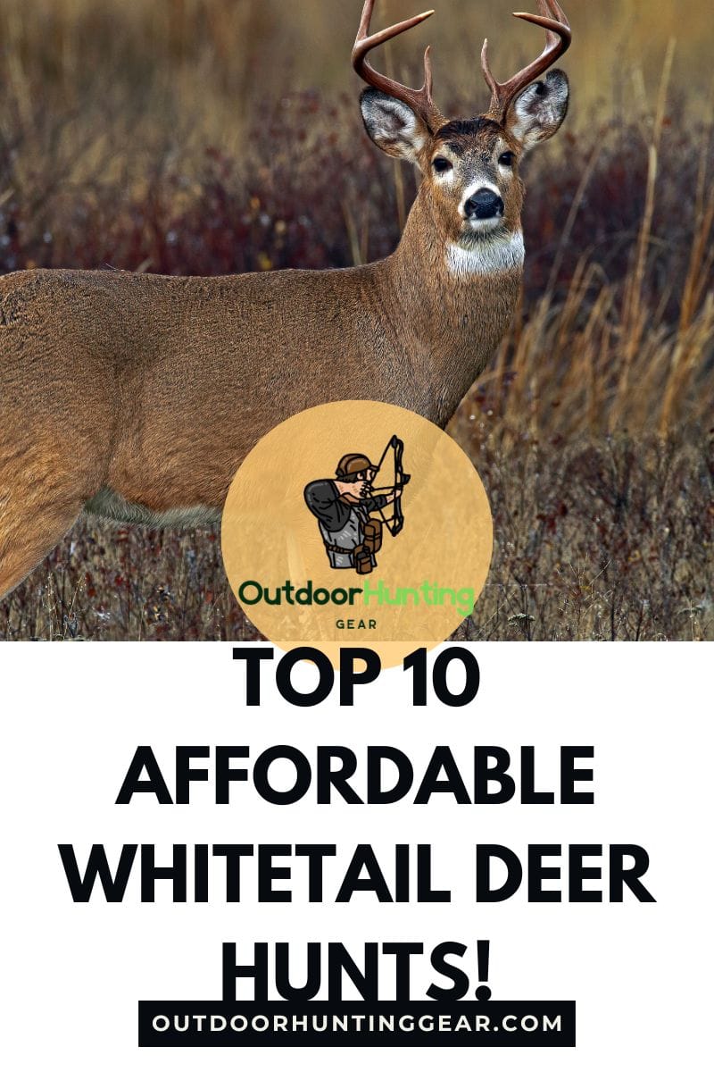 Affordable whitetail deer hunts for beginners and expert hunters.