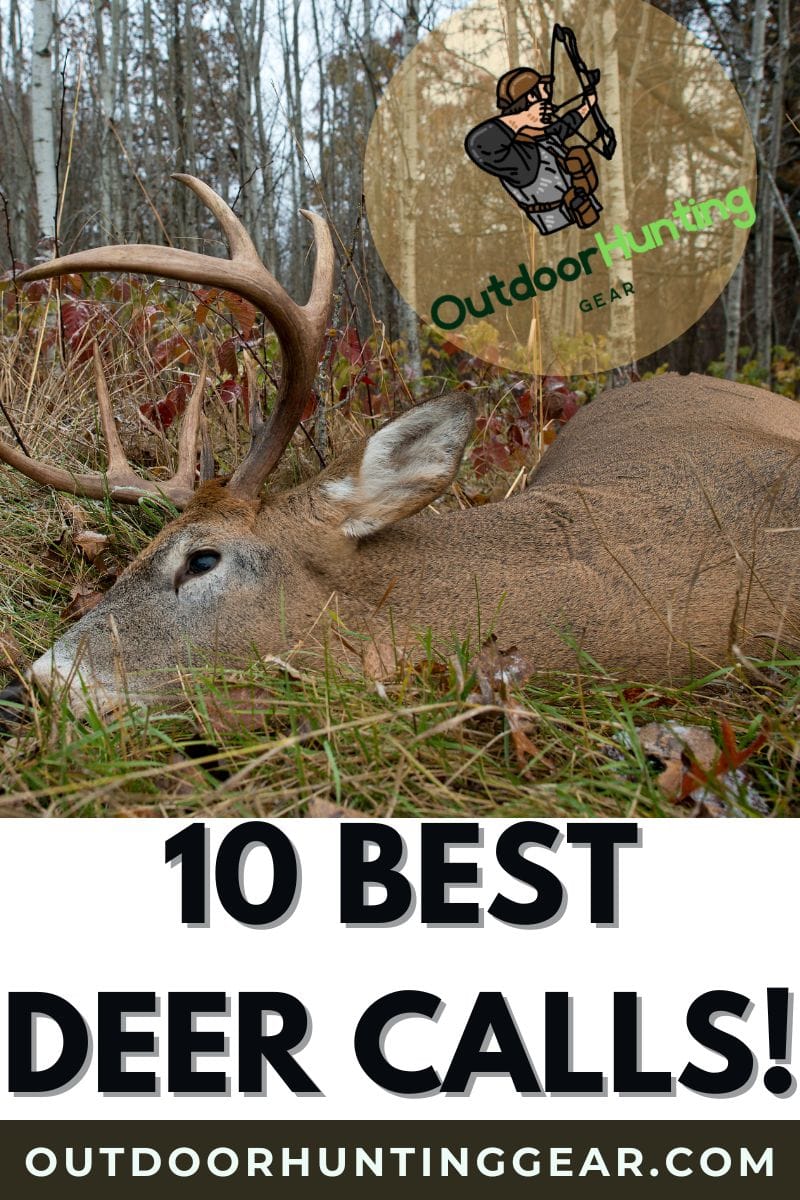 Best deer calls for whitetail and doe hunting success