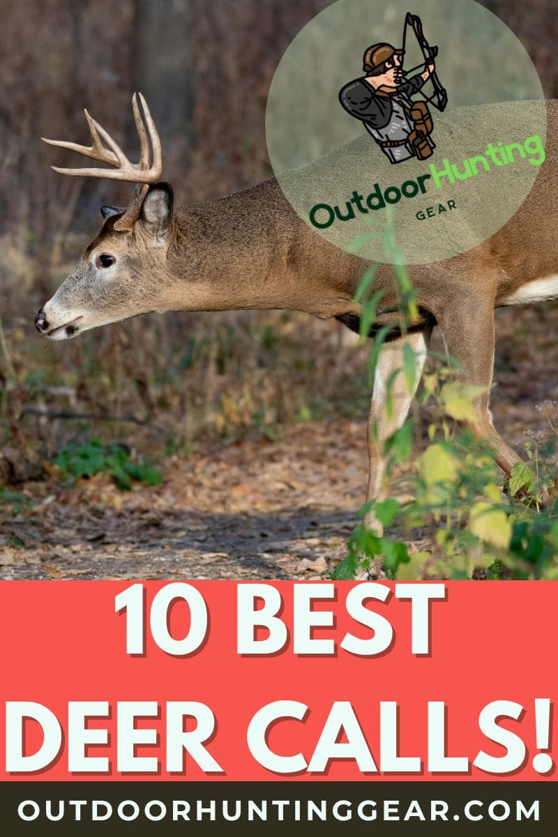 Top 10 Best Deer Calls for Success in Your Next Hunt