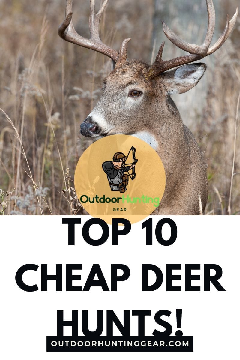 Cheap deer hunts for this hunting season with budget-friendly options.