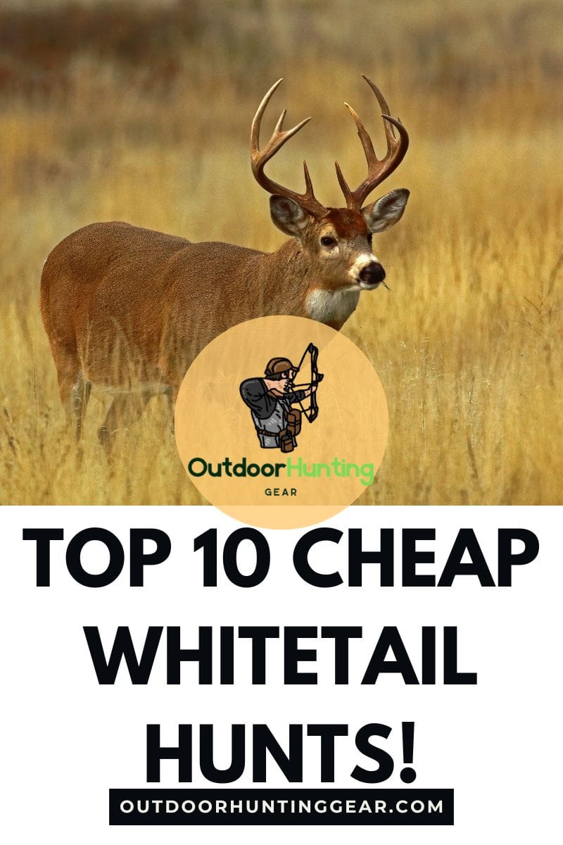 Cheap whitetail hunts with high-quality experiences for budget hunters.