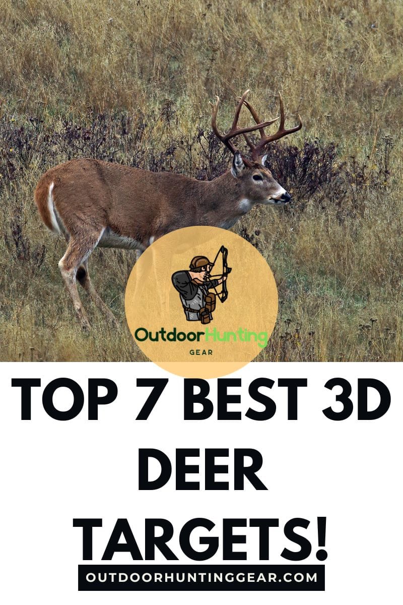 Top 7 Best 3D Deer Targets to Improve Your Archery Skills this Season