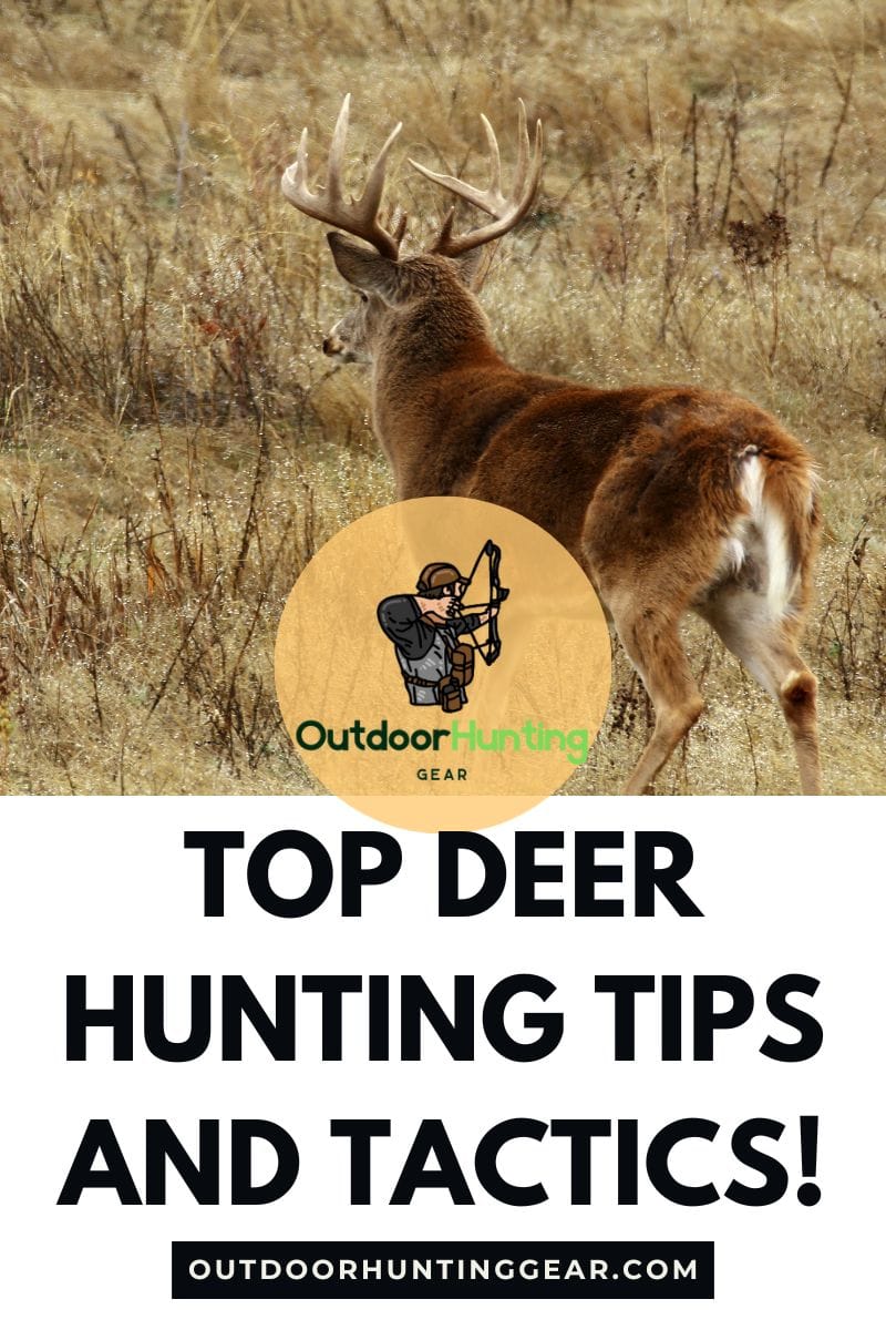Whitetail deer hunting tips for beginners in the forest.