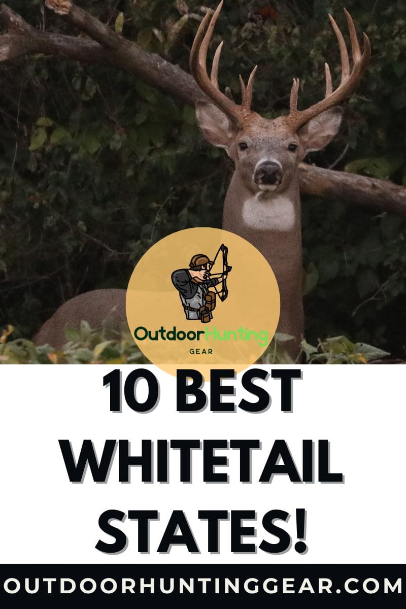 10 Best Whitetail States for Deer Hunters! Top Destinations for Unforgettable Deer Hunts! - by: Outdoor Hunting Gear | OutdoorHuntingGear.com