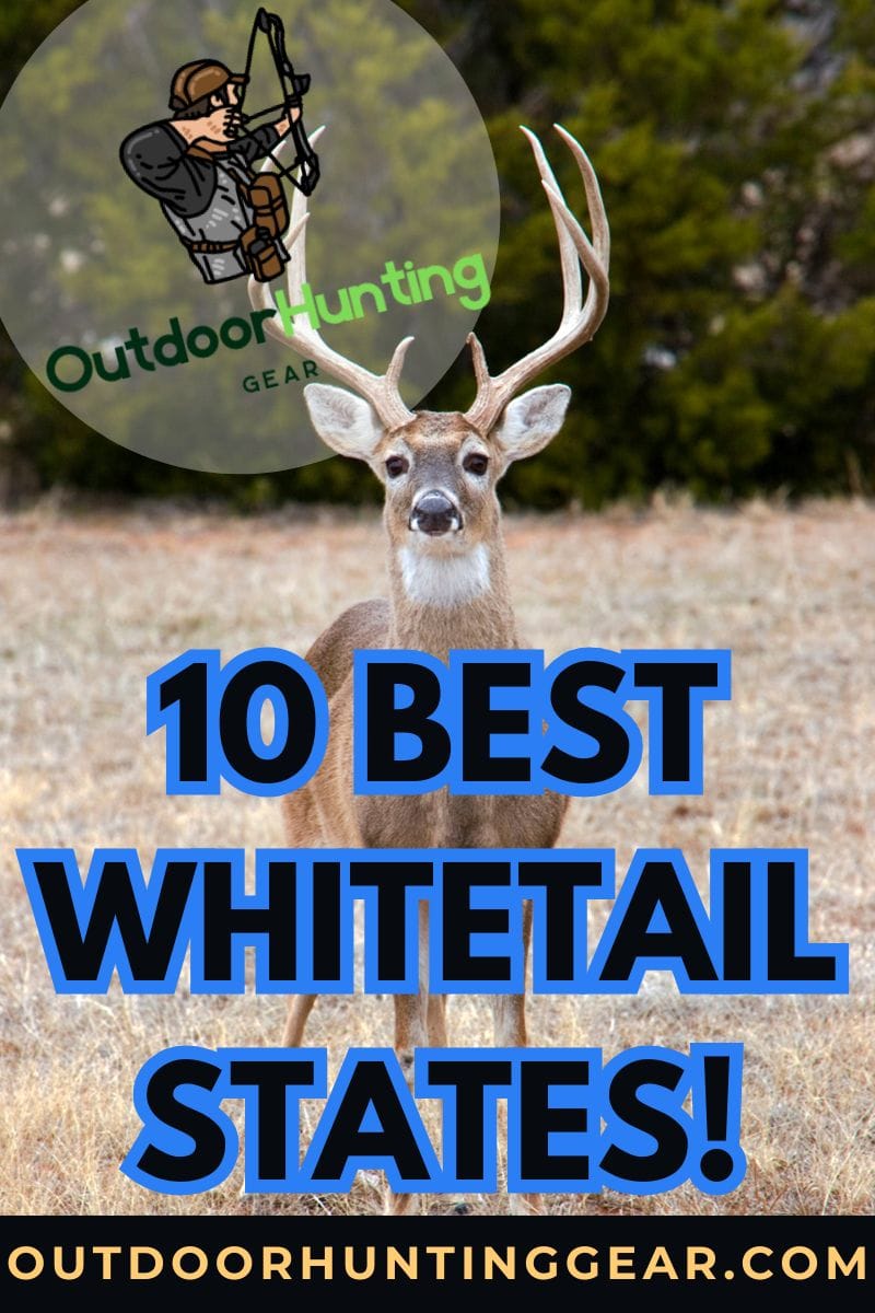 Whitetail hunting in the U.S. – best whitetail states. - by: Outdoor Hunting Gear | OutdoorHuntingGear.com