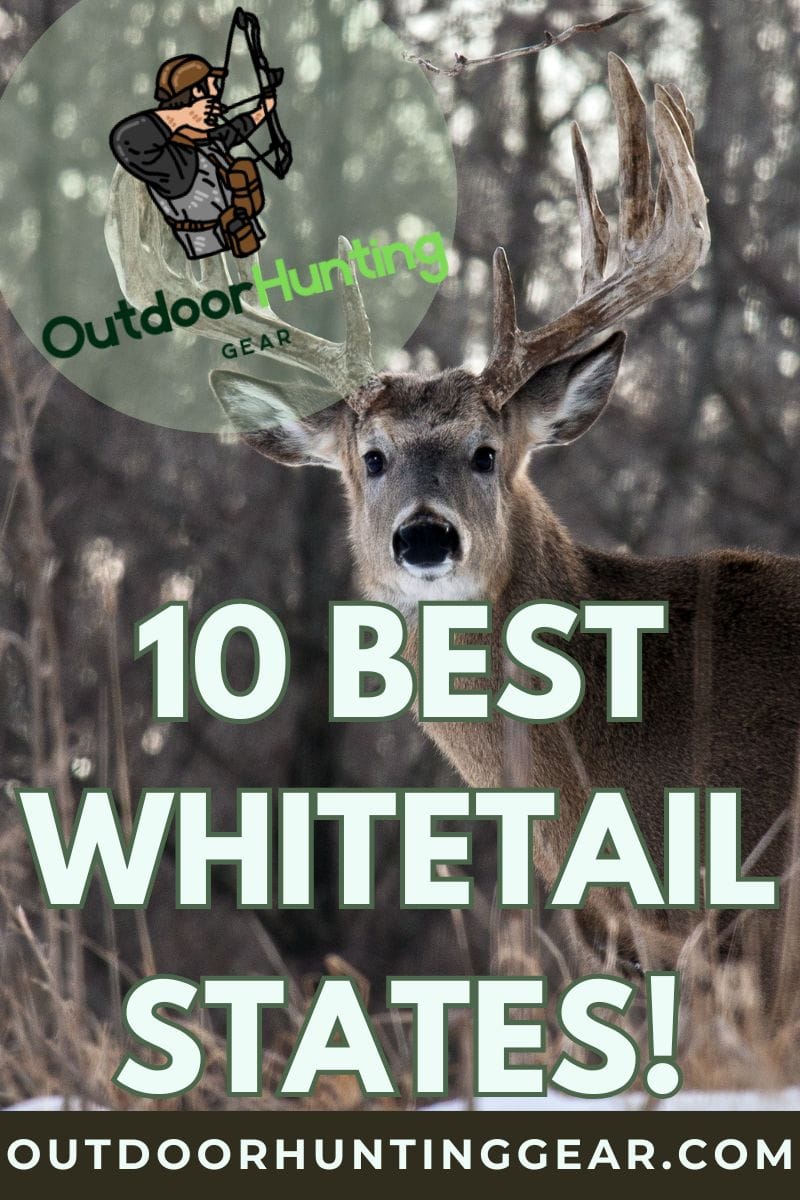 Hunter spotting a buck in the woods – best whitetail states for deer hunting. - by: Outdoor Hunting Gear | OutdoorHuntingGear.com