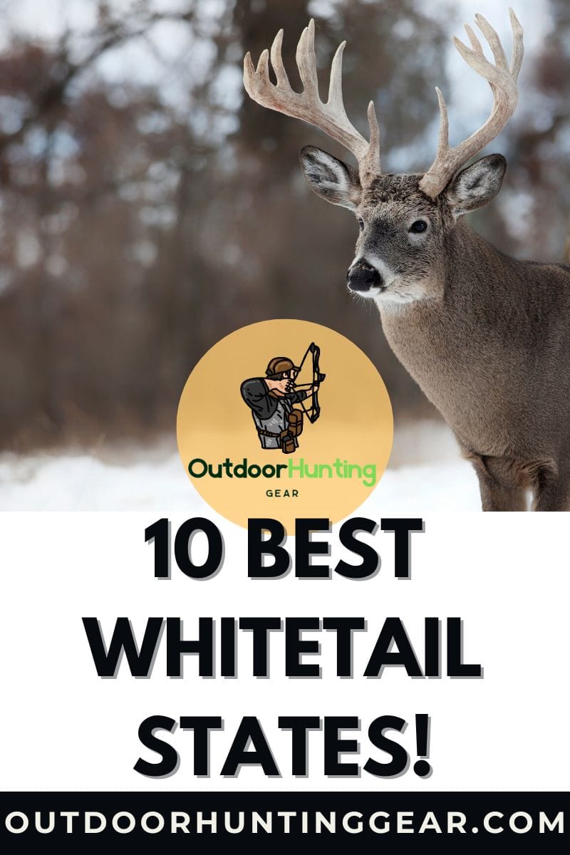 Trophy whitetail buck – best whitetail hunting states. - by: Outdoor Hunting Gear | OutdoorHuntingGear.com