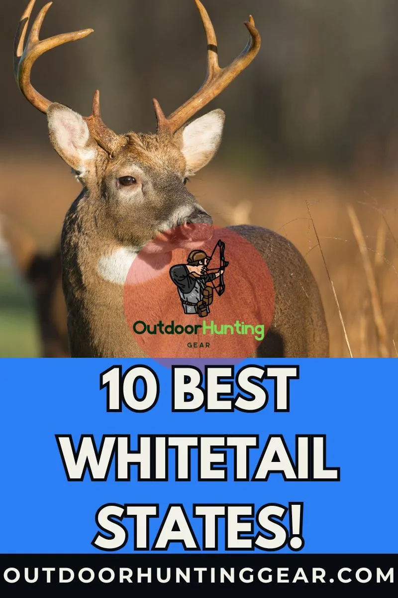 Top 10 Best Whitetail States for Trophy Bucks This Deer Hunting Season! - by: Outdoor Hunting Gear | OutdoorHuntingGear.com