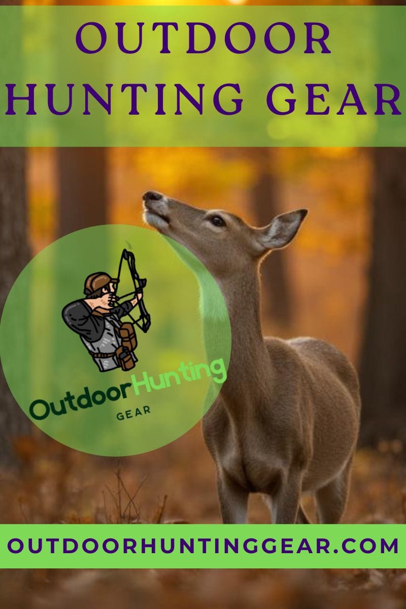 A doe deer sniffing the air, showcasing the importance of scent control for whitetail deer hunters.