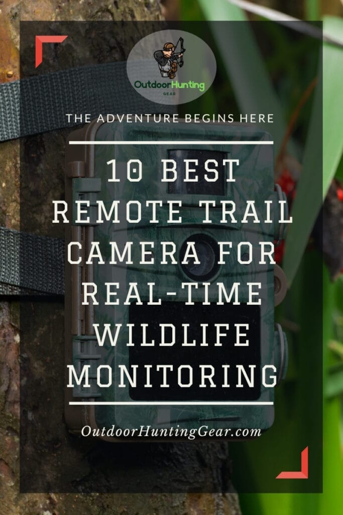 Remote trail camera capturing wildlife in real-time.