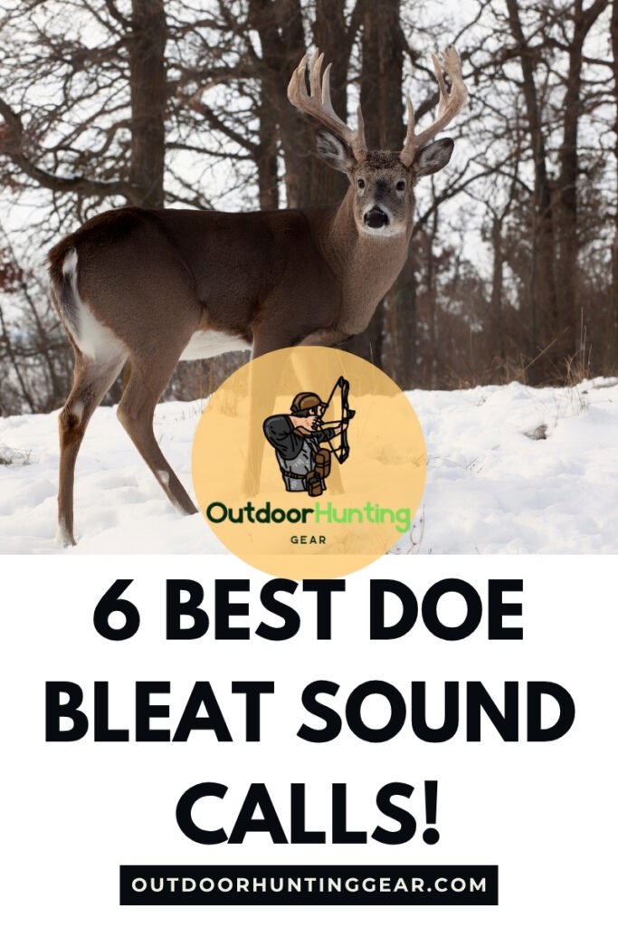 6 Best Doe Bleat Sound Calls! Ultimate Guide to Effective Deer Calls!