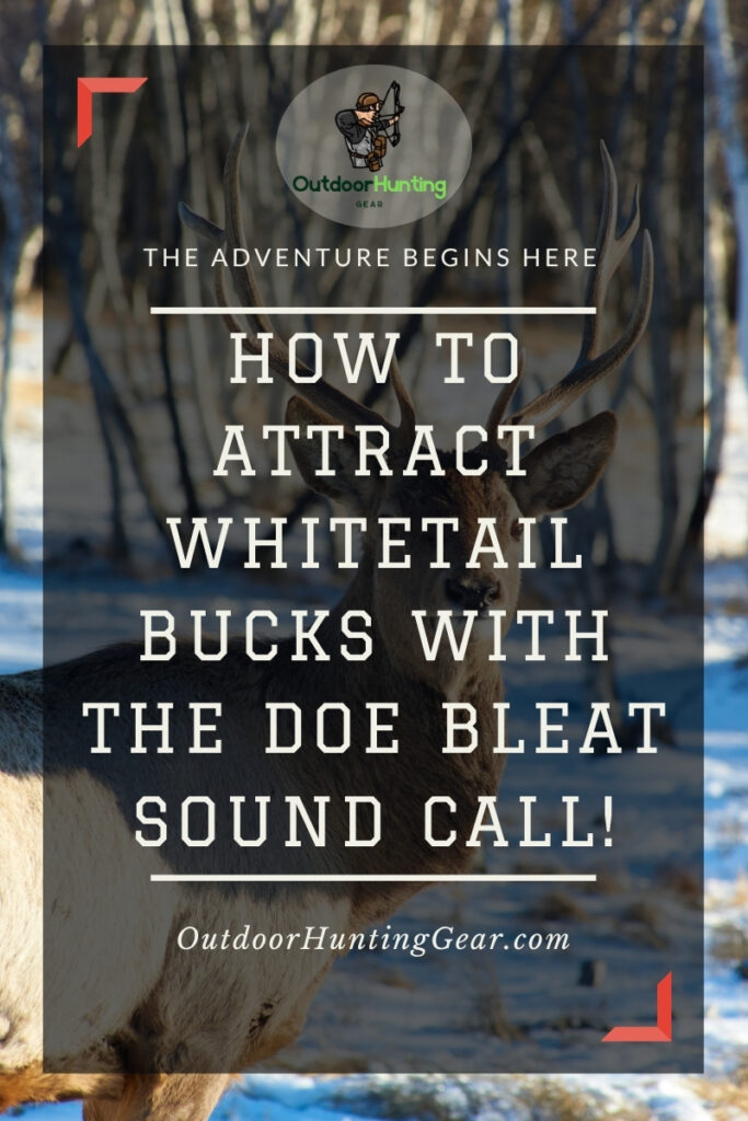 How To Attract Whitetail Bucks with the Doe Bleat Sound Call! A serene forest scene perfect for deer hunting using a doe bleat sound call.