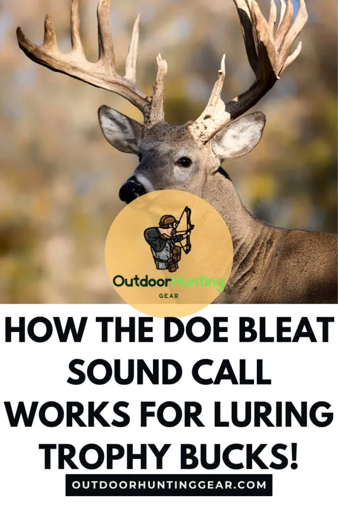 How the Doe Bleat Sound Call Works for Luring Trophy Bucks! Hunter using a doe bleat sound call in dense forest for deer hunting.