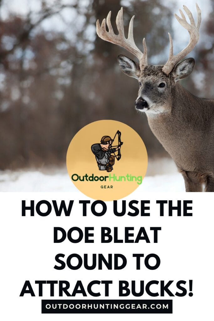 How to Use the Doe Bleat Sound to Attract Bucks. A hunter calling with a doe bleat sound in a wooded area.
